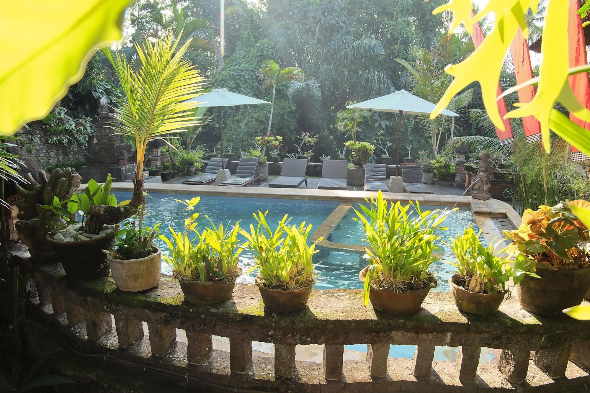 Ketut'S Place Bed & Breakfast Ubud Exterior photo